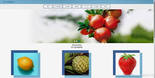 java計算機畢業(yè)設計農(nóng)產(chǎn)品銷售系統(tǒng) 開題報告 源碼 論文