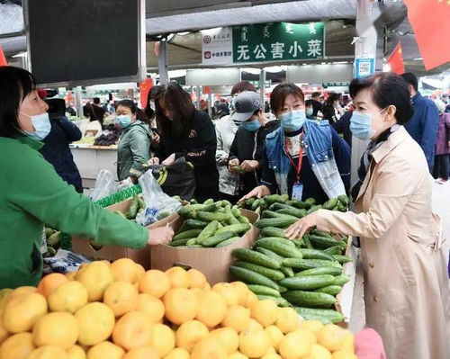 王莉霞在調研我市節(jié)日市場時強調 要牢固樹立以人民為中心的發(fā)展思想 全力保障群眾買得放心吃得安心