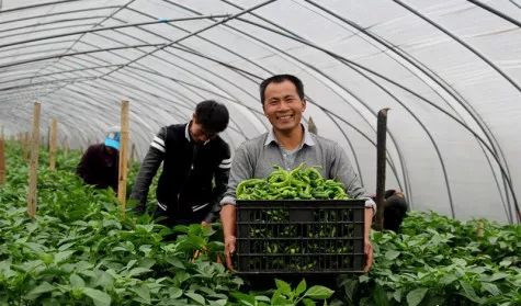 必看 2019年中央 一號文件 發布,這六大新變化 三個投資方向,將直接影響你的錢袋子