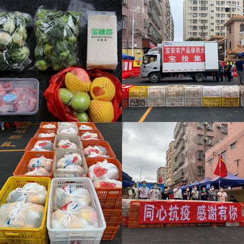 四步走 保證農產品供得上 不斷檔 價格穩 寶投集團全力服務居民 慢生活