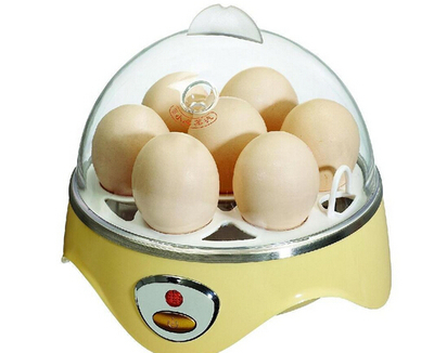 蒸蛋器使用與保養(yǎng)指南 實現(xiàn)高效便捷的廚房體驗