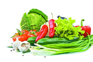 政府支持為堅強(qiáng)后盾，有效避免禽蛋等農(nóng)產(chǎn)品價格大起大落